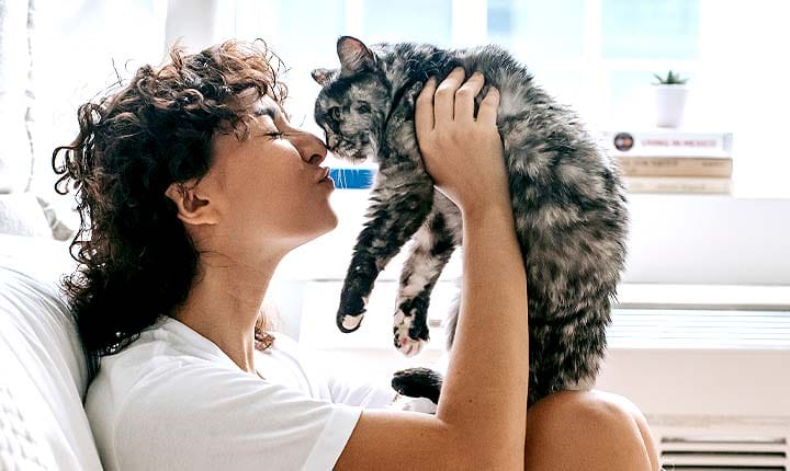 ¿Qué es ser un pet sitter? Requisitos y características