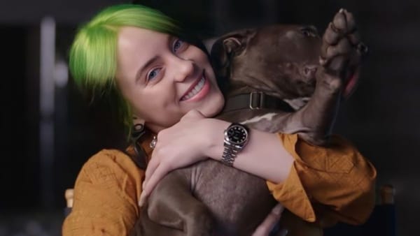 "Shark", el perro de Billie Eilish la rompe en RRSS con su portada en la revista Dogue