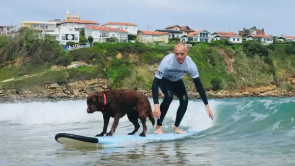 Koa, la perra que derrotó el cáncer y se coronó campeona de surf para perros